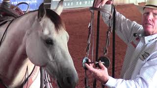 Better Horses TV: Advancing from a Snaffle Bit Profile
