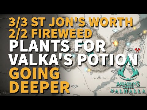 Collect the plants for Valka's next Potion AC Valhalla (Going Deeper: St Jon's Worth & Fireweed)