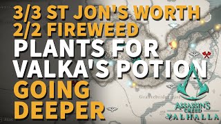 Collect The Plants For Valkas Next Potion Ac Valhalla Going Deeper St Jons Worth & Fireweed
