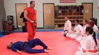 Бои без правил в американской школе самообороны