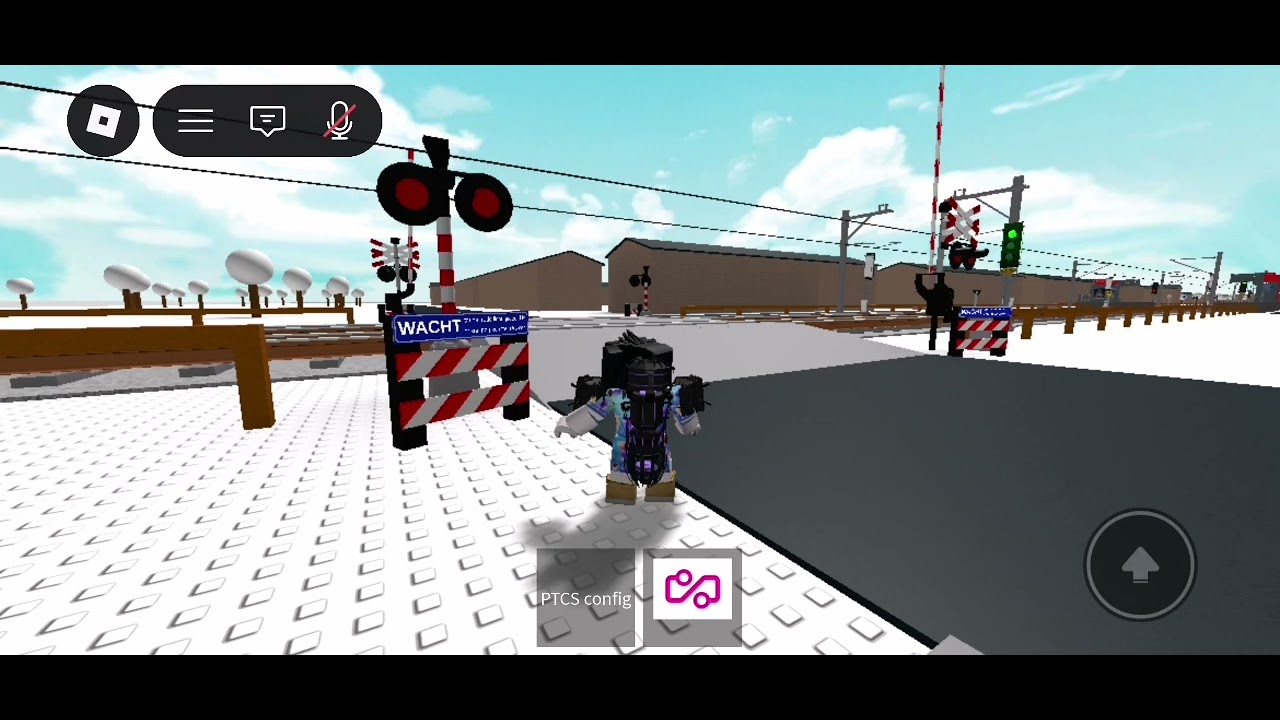 spoorwegovergang​ laag​ Zuthem​ // dutch​ railroad​ crossing​