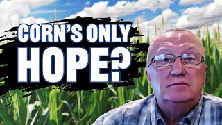 Is Ethanol Corn's Only Hope? (Sherman Newlin on RFD-TV)