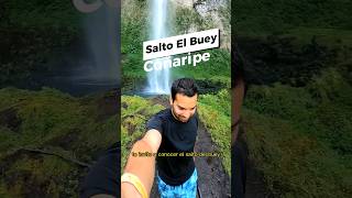 Salto El Buey 📍 Coñaripe #cascada #regiondelosrios #surdechile #trekkingchile