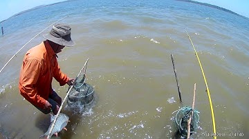 câu cá ea sup thuong