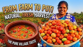 ​சாதத்துக்கு வேறஎதுவும் வேணாம் கிராமத்து ஸ்டைல் காரசாரமான தக்காளி குழம்பு | Fresh Tomato Sauce Curry