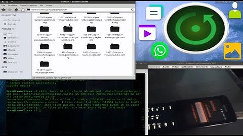 How to backup contacts, SMS, settings, Whatsapp, pics and video on KaiOS using one command [as ROOT]