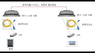 광패치코드 및 SFP를 이용한 네트워크 장비(Switch) 연결 영상입니다. #Switch #광케이블 #SFP