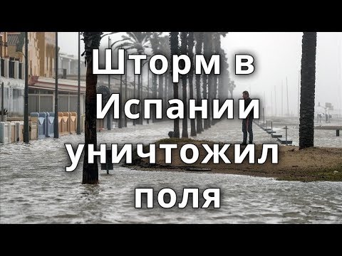 Штормовой нагон во время шторма Глория достиг 3 км вглубь Испании