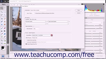 Photoshop Elements 2018 Tutorial Saving a Camera Raw File as a DNG File Adobe Training
