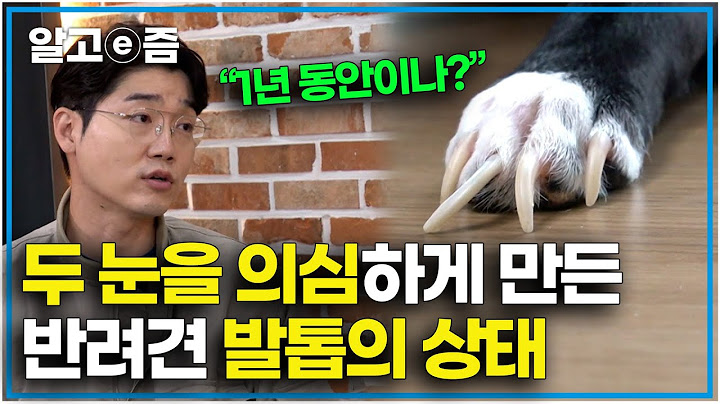 "설쌤도 놀랐다..." 제작진이 건낸 영상을 보고 놀란 세나개 문제견의 심각한 발톱의 상태 │세상에 나쁜 개는 없다│알고e즘