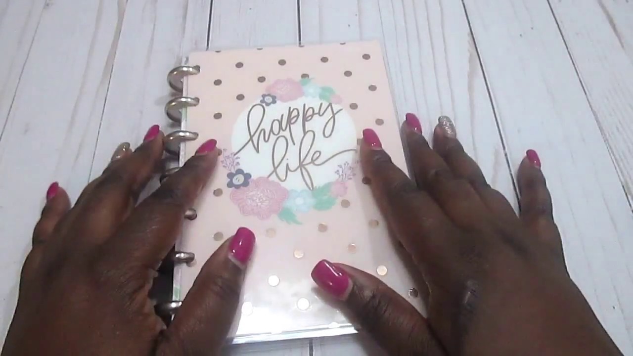 Happy Planner Girl - Mini Day Dreamer Flip Through!