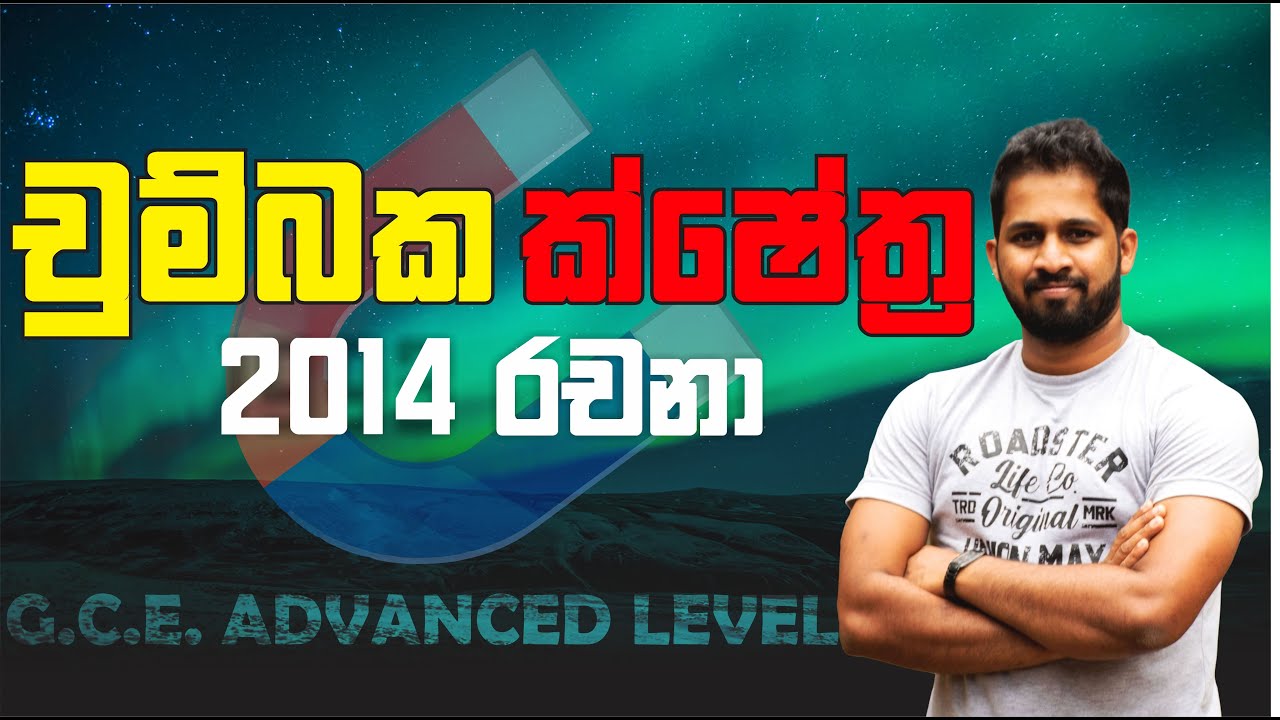 No. Zero Physics | Magnetic Fields | 2014 Essay