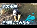 【釣りよか】池の水を全部抜いてみたら…【切り抜き】