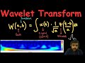 Wavelet Transform for Ecological Modelling: History, NDVI time series Application and Perspectives