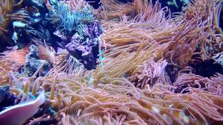 WP 20131207 19 35 03 Pro