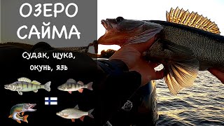 Рыбалка в Финляндии. Озеро Сайма. Отчет о рыбалке №4.