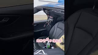 Autoglass AUDI Q8 Windshield Replacement