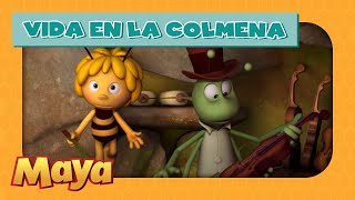 La Abeja Maya  Vida en la Colmena  ¡Olvídate de mi ungüento!