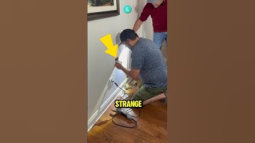 A squirrel made the wall its home😯. Cr: @catiecharles/TT