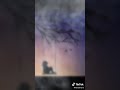 بيسان اسماعيل مهما كان العيد بعيد 