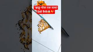 Magic Broom Wiper For Home #magicbroomwiper #wiper #cleaning #homecleaning #roomcleaning #shorts