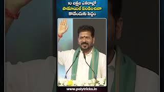 10 లక్షల ఎకరాల్లో పామాయిల్ పండించినా కొనేందుకు సిద్దం| Polytricks