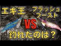 エギ王とフラッシュブーストでエギング！