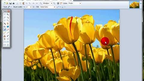 Edit image dimensions for your website using paint.net