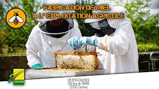 Fabrication De Miel À Lexploitation Agricole De Caulnes