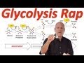 Glycolysis Breakdown: Phases, Processes, and Energy Yield
