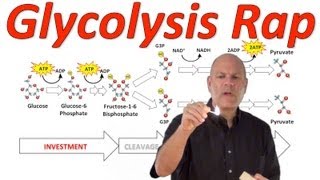 Glycolysis! (Mr. W's Music Video)