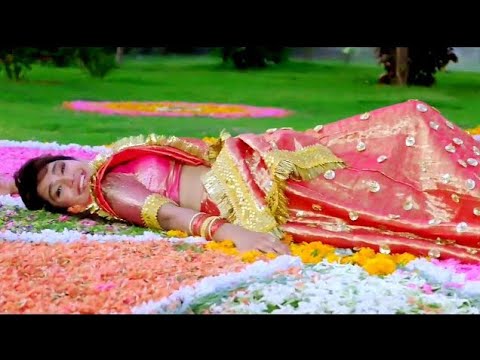 Kya Tumhe Pata Hai Aye Gulshan 90s Jhankar Dil Hai Betaab 1993 Udit Narayan