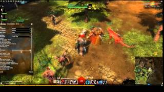 Guild Wars 2 - OBS Test 2
