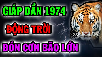 Bí Mật Động Trời Giáp Dần 1974 Chuẩn Bị Đón Cơn Bão Lớn Trong Đại Vận Năm 2025