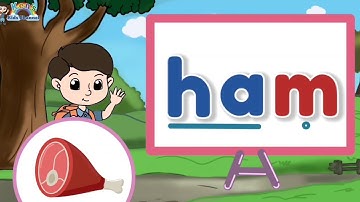 CVC WORDS FOR KIDS | Fun Phonics | English Reading Lesson for Nursery and Kindergarten 