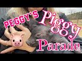 Peggy’s Piggy Parade