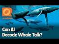 Can We Understand Nature's Language? | The Rundown