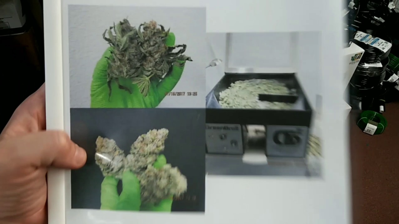 Green Broz Trimmer Product review