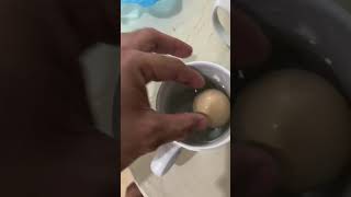 Egg Water Candling