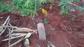 byungura yihutirwa ikibanza kiza murisite tel 0787690288