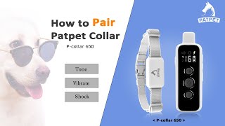 Dog Training Collar Pairing | Patpet 650