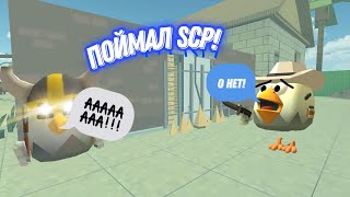 Поймал SCP в ЧГ! | CHG