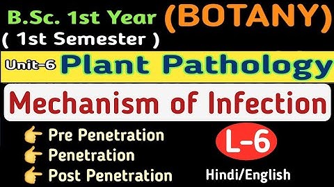 BSc 1st year 1st Semester Botany/Mechanism of Infection/Pre Penetration/Penetration/Post Penetration