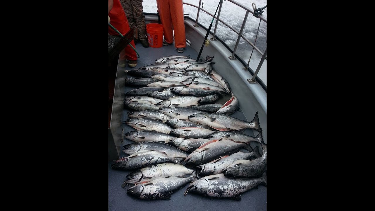 "KING SALMON FISHING ON THE NEW SALMON QUEEN" YouTube