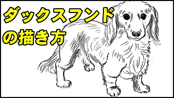 リアルな犬の描き方簡単