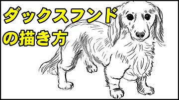 動物の描き方 ダックスフンドのリアルなイラストが誰でも簡単に上手くなる方法ー中学校の美術で使える動物スケッチの書き方のコツ Mp3