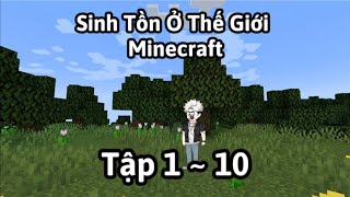 Sinh Tồn Ở Thế Giới Minecraft | Tập 1 ~ 10 | #tiennvietsub