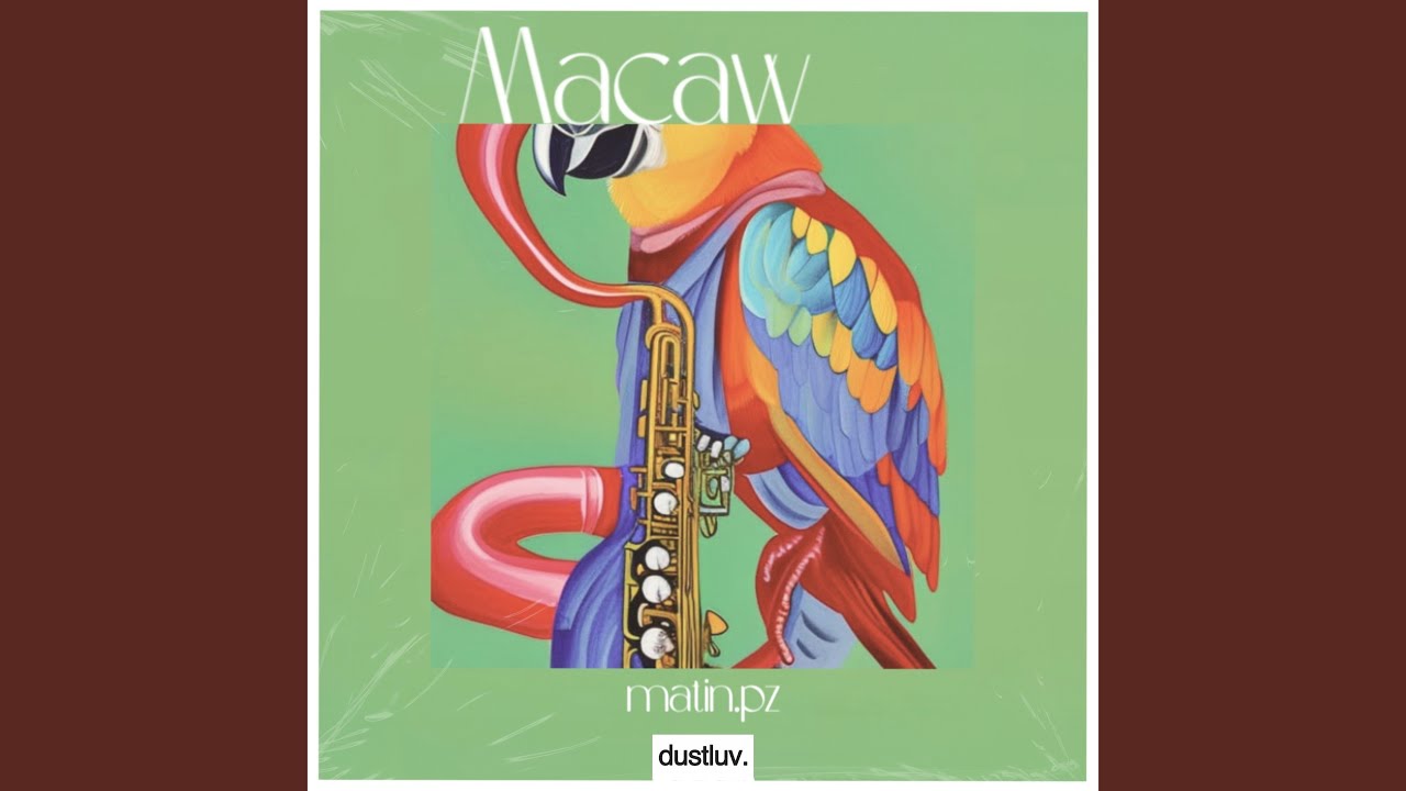 Watch Macaw on YouTube Watch Macaw on YouTube