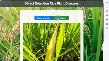 Plant Disease Detection And Prevention Using Deep Learning