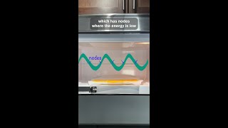 The Real Reason Microwaves Have a Spinning Tray 🧑‍🍳🤔 | Everyday Awesome